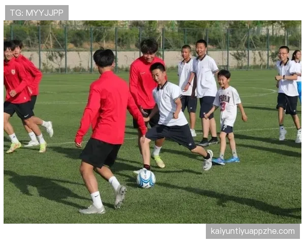 足球比赛暂停规则详解及其对比赛节奏的影响